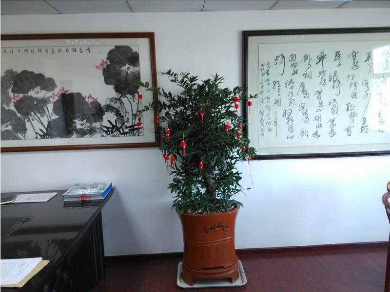 d20151121713998.jpg